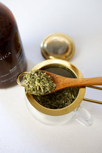 Load image into Gallery viewer, Focus refill