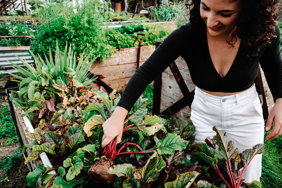 6 Ways To Support Energy & Fight Fatigue